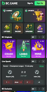 Explore the Thrills of Online Casino and Betting Platforms