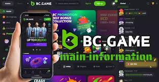 Exploring BC.Game Mirror Sites A Comprehensive Guide 720267098
